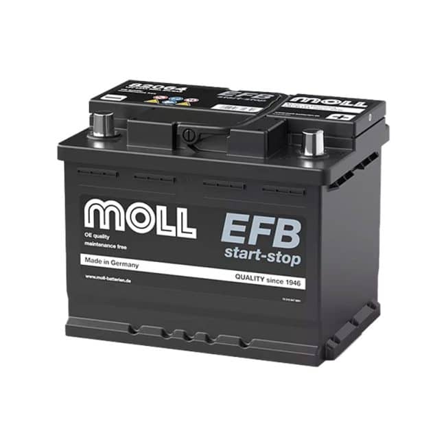 MOLL EFB L2（LN2対応）82064
